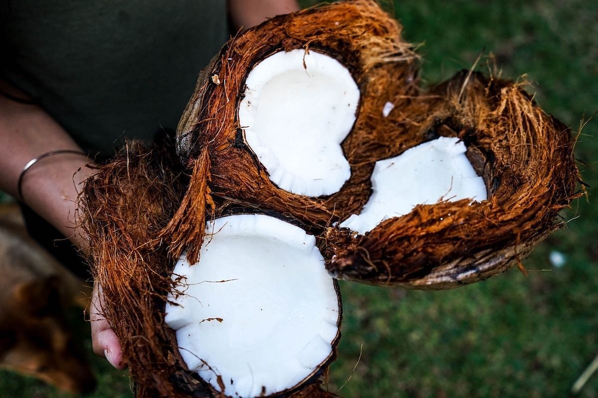 Coconut oil (Image via Getty Images)